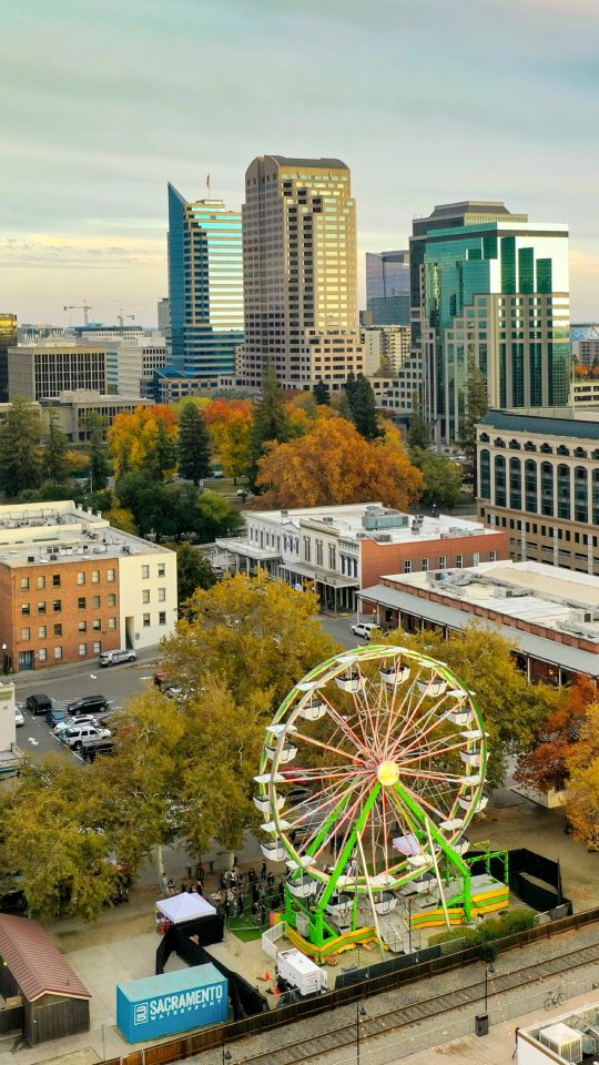 It is the tallest one!