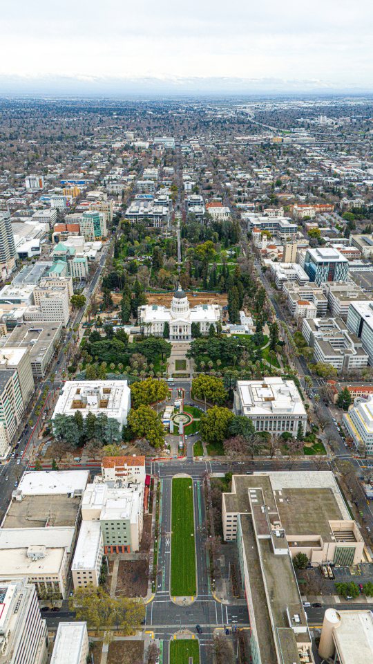 Just a flowerbed in the yard